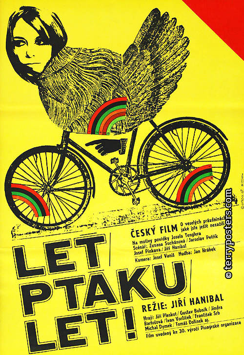 Leť, ptáku, leť!