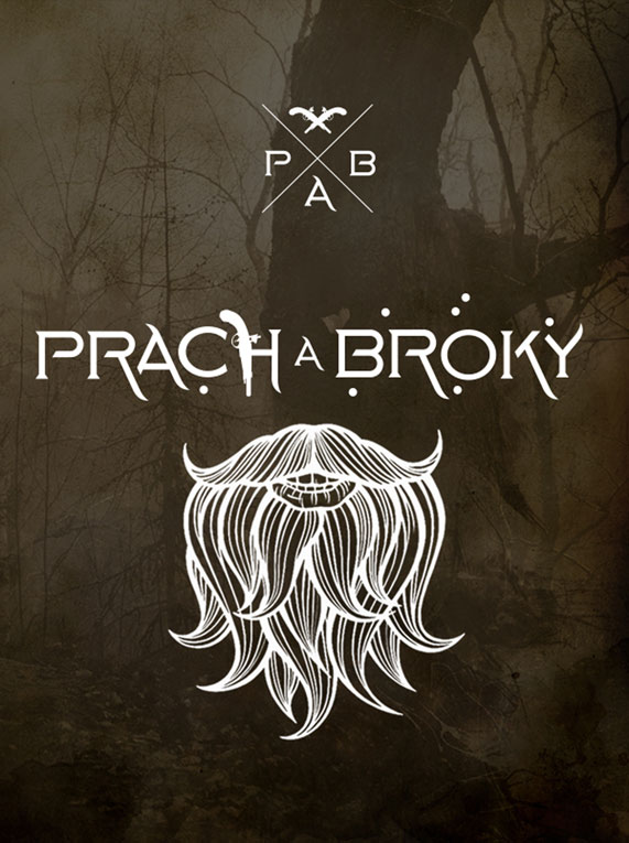 Prach a broky