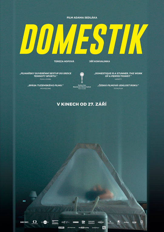 Domestik