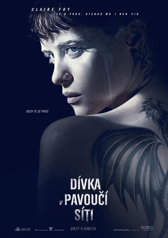 Dívka v pavoučí síti