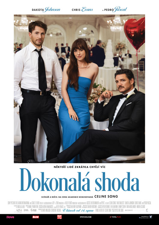 Dokonalá shoda