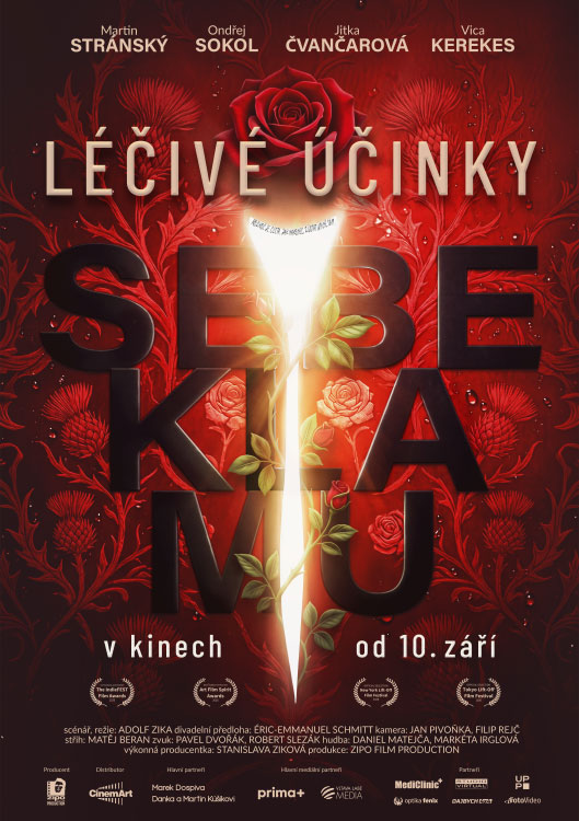 Léčivé účinky sebeklamu Léčivé účinky sebeklamu