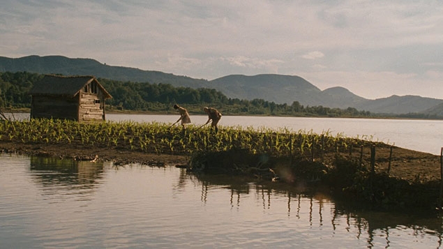 Kukuřičný ostrov