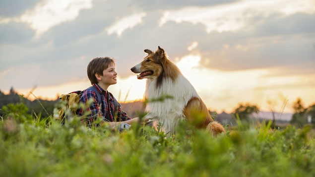 Lassie se vrací