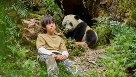 Panda a já