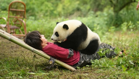 Panda a já