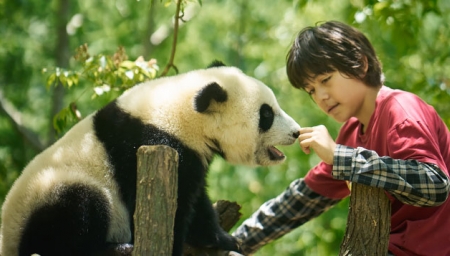 Panda a já