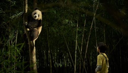 Panda a já