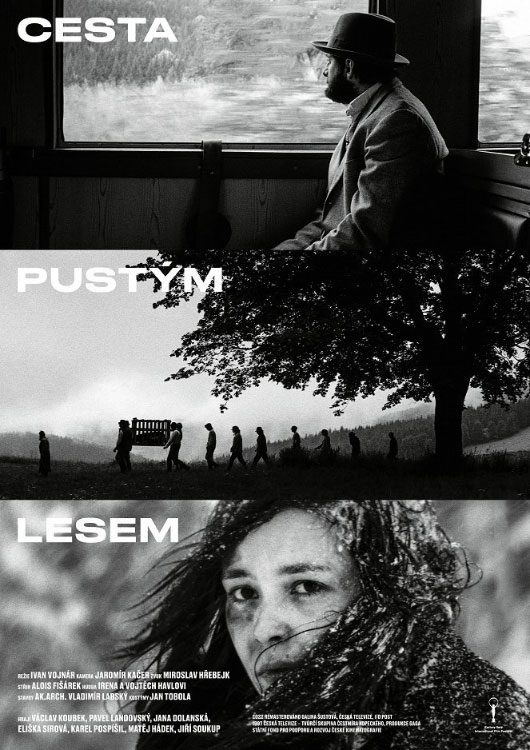Cesta pustým lesem