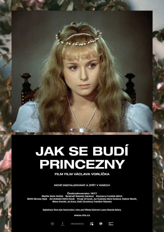 Jak se budí princezny /digitalizovaná verze/ Jak se budí princezny /digitalizovaná verze/