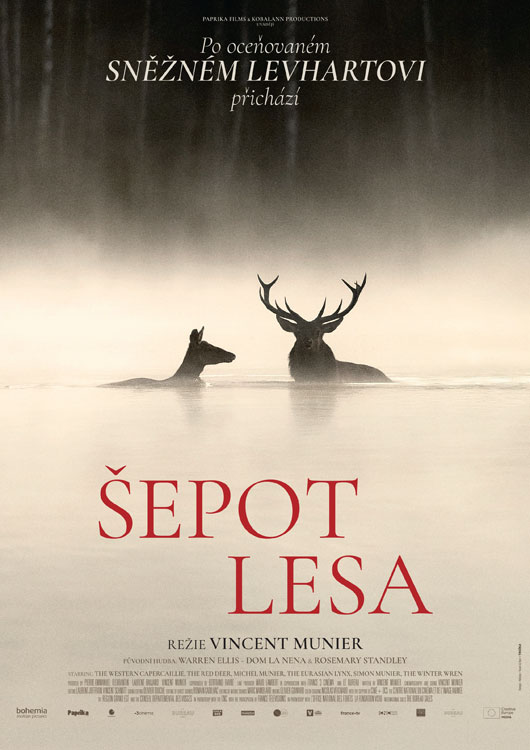 Šepot lesa