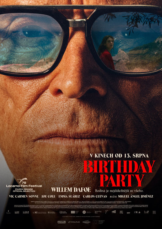 Birthday Party Birthday Party