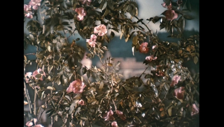 Jak se budí princezny /digitalizovaná verze/