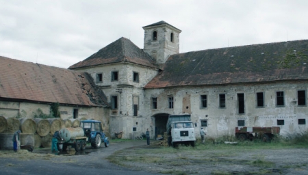 Wirbel