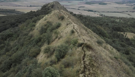 Wirbel
